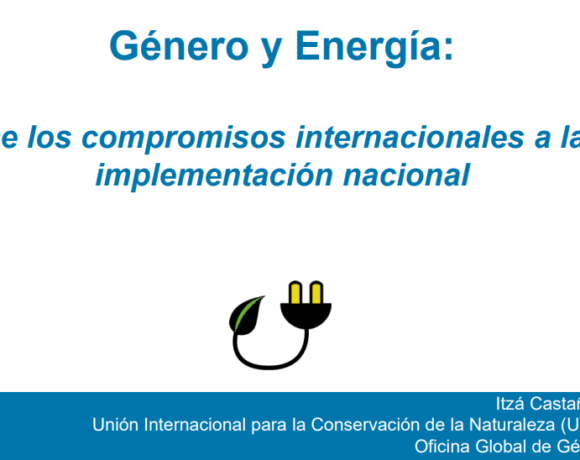 Género y Energía: De los compromisos internacionales a la  implementación nacional